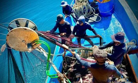 Theo chân ngư dân Quảng Ngãi trên ngư trường