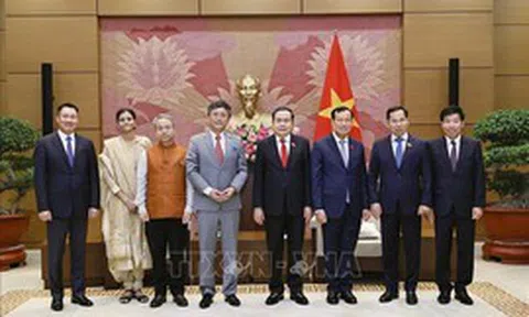 Phối hợp chặt chẽ triển khai các thỏa thuận hợp tác giữa Việt Nam, Ấn Độ