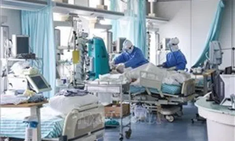 Bước tiến mới về cảnh báo sớm đại dịch trong tương lai