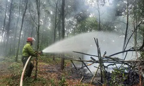 Quyết liệt triển khai các biện pháp cấp bách về
phòng cháy, chữa cháy rừng