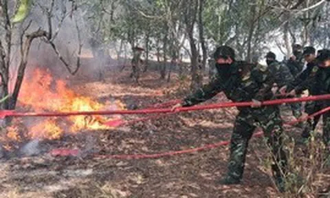 Hàng trăm cán bộ, chiến sĩ chữa cháy rừng phòng hộ ở Quảng Trị