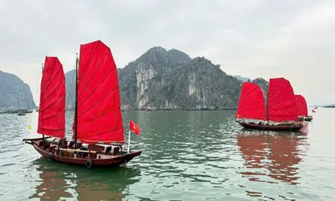 Hồi sinh thuyền buồm ba vách trên vịnh Hạ Long
