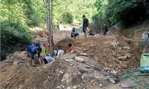 Giấc mộng vàng và nước mắt rừng phòng hộ Yên Na - Bài cuối: Cần sự đối diện trung thực và quyết liệt ngăn chặn