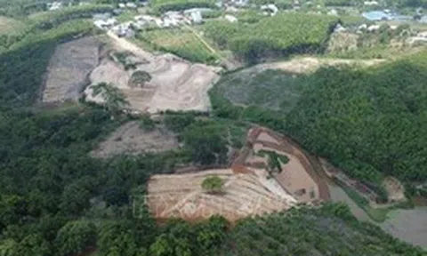 Đồng Nai xử phạt vụ đắp đập, lấn chiếm lòng hồ sau phản ánh của TTXVN