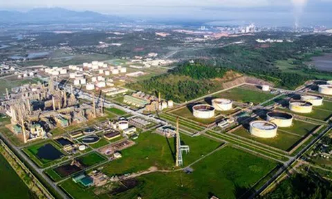 Nhiều doanh nghiệp Singapore muốn đầu tư khu công nghiệp và vùng nguyên liệu tại Quảng Ngãi