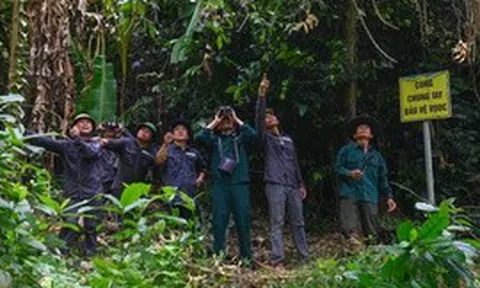 Những 'vành đai' bảo vệ môi trường mang tên cộng đồng