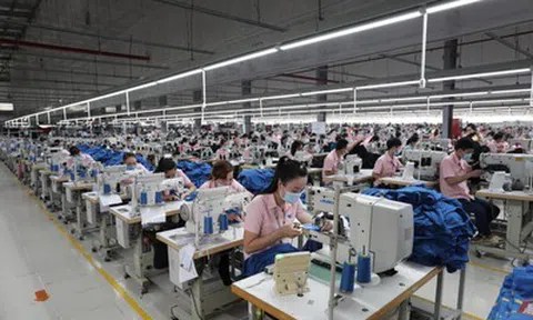 Lợi nhuận Dệt may Thành Công giảm mạnh