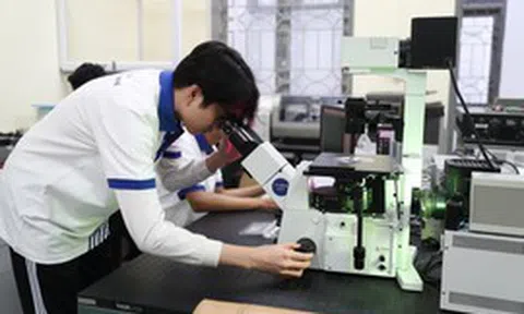 Nghị định 179 'hút' người học vào ngành khoa học, công nghệ chiến lược