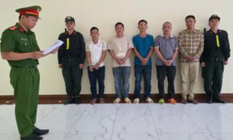 Lén san lấp bằng 800 tấn chất thải, 6 người bị bắt giữ