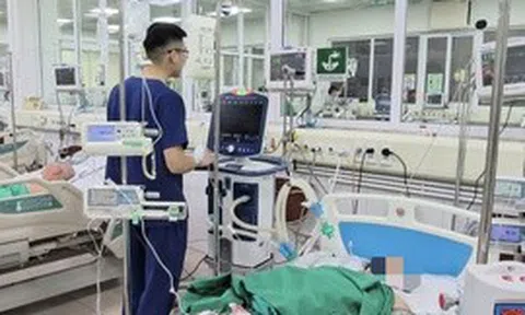 Khuyến cáo người cao tuổi và người có bệnh lý nền khi sốt xuất huyết gia tăng