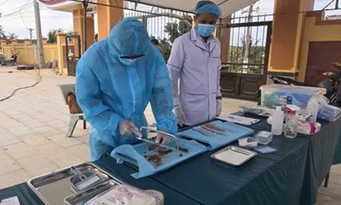 Gia Lai quyết tâm hoàn thành sớm chỉ tiêu Chiến dịch 500 ngày đêm