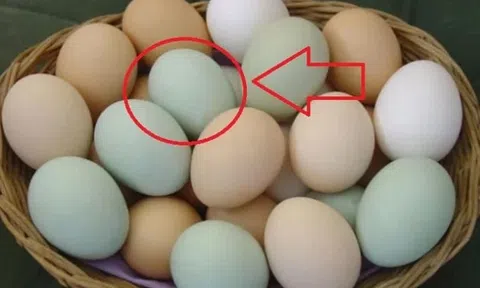 Sự thật về trứng vịt vỏ xanh và vỏ trắng không phải ai cũng biết