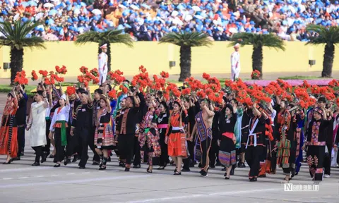 Công tác giám sát, phản biện xã hội ngày càng đi vào thực chất