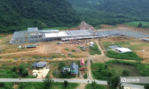 Nhà máy sản xuất ván tre 3.200 tỷ mở đường đưa cây tre Việt "xuất ngoại"