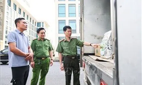 Chế tài chưa đủ sức răn đe phân bón giả