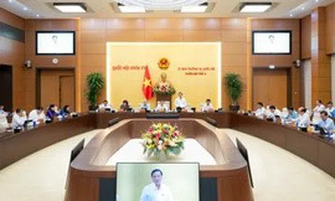 Tạo lập khuôn khổ pháp lý ổn định, thống nhất để thúc đẩy phát triển các đô thị lớn