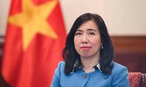 Kiều bào - nguồn lực đặc biệt của đối ngoại Việt Nam trong kỷ nguyên mới