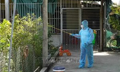 Kiểm soát, xử lý triệt để khu vực có nguy cơ gây dịch sốt xuất huyết