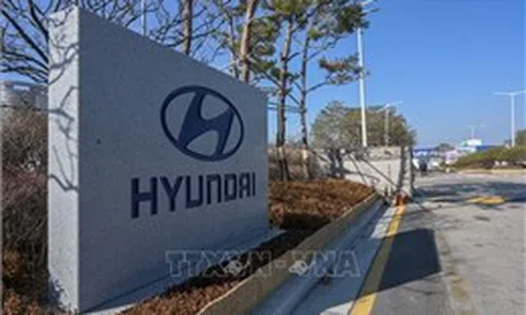 Triệu hồi hơn 13.000 xe Hyundai Tucson để cập nhật phần mềm hệ thống FCA