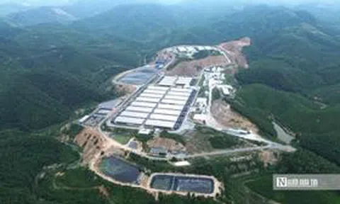 Một xã ở Thanh Hóa "gánh" 7 trại lợn, người dân sống khổ vì mùi hôi