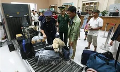 Xử lý gần 20.000 vụ buôn lậu, hàng giả trong 6 tháng đầu năm