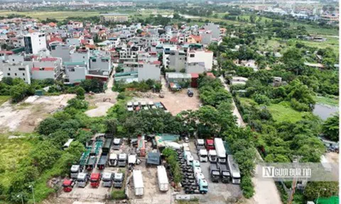 Đất vi phạm thủ tục trước ngày 1/8/2024 có thể được xem xét cấp sổ đỏ