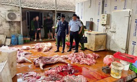 Chuyển cơ quan điều tra vụ gần 1 tấn thịt lợn nghi nhiễm dịch tả lợn châu Phi tại Hưng Yên