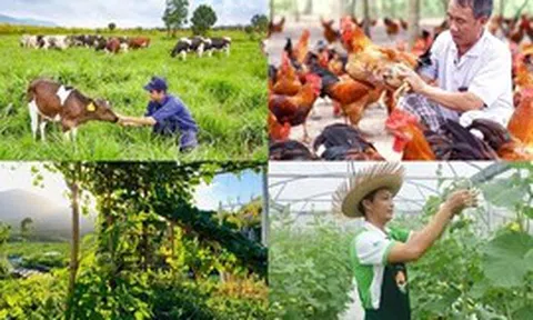 Chính sách mới có hiệu lực từ tháng 8/2026