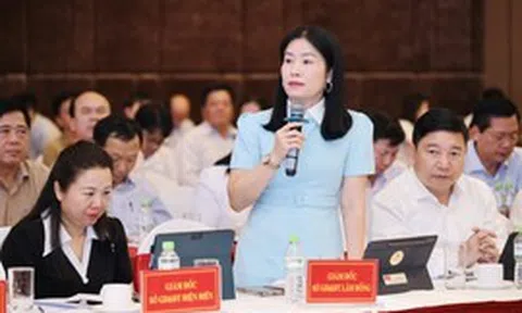 Quản trị trường quy mô lớn: Không chỉ là chọn lại hiệu trưởng
