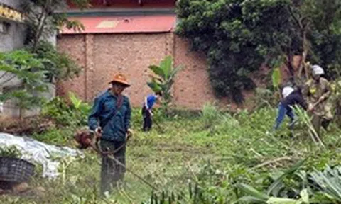 Gia Lai chủ động ứng phó và kiểm soát dịch bệnh sốt xuất huyết