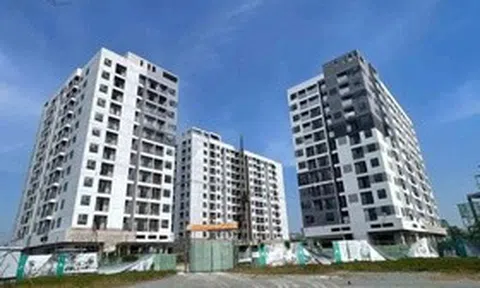 Tạm gác giấc mơ an cư vì giá vật liệu xây dựng “lập đỉnh”