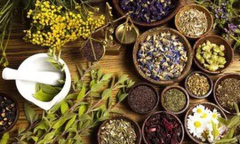 Phát huy vai trò của y học cổ truyền trong chăm sóc, nâng cao sức khỏe Nhân dân