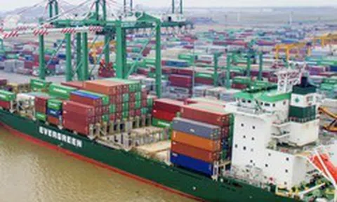 Một Phó Tổng Giám đốc của Viconship không mua cổ phiếu VSC như đăng ký