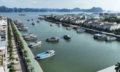 Từng bị xem là "điên rồ khi đổ tiền xuống biển nhiều như đất”, đại gia BĐS này đã làm nên điều kỳ diệu