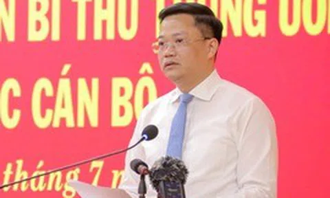 Phê chuẩn kết quả bầu, miễn nhiệm chức vụ Chủ tịch UBND tỉnh Quảng Ngãi