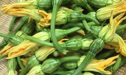 Lý do không nên ăn bông bí, dưa chuột có vị đắng