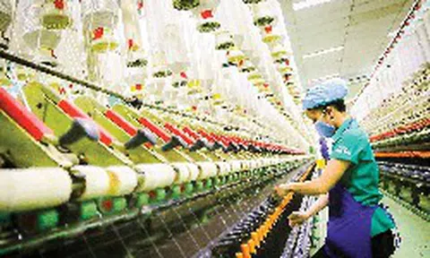 Không phải điện tử hay công nghệ cao, một ngành truyền thống của Việt Nam trở thành “cứu cánh” cho kho xưởng miền Nam khi các DN khác trả mặt bằng