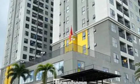 TPHCM: Hơn 373 dự án nhà ở được tháo gỡ vướng sổ hồng