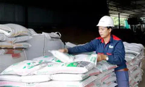 Hàn Quốc, Philippines tăng mua giá cao, xuất khẩu phân bón sắp lập kỷ lục