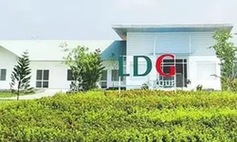 Nhiều doanh nghiệp bị nghi ngờ khả năng hoạt động liên tục