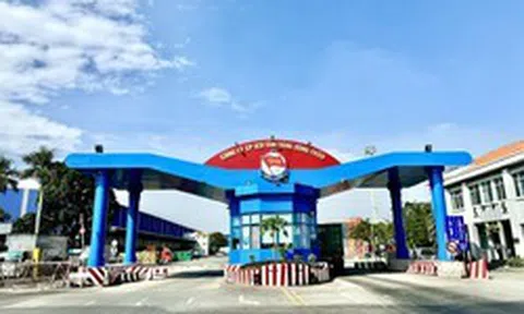 Một công ty chốt ngày trả cổ tức tiền mặt 29,5% trong tuần này