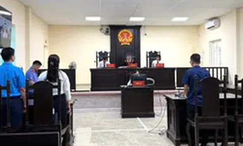 Viện kiểm sát khởi kiện doanh nghiệp chậm, trốn đóng bảo hiểm xã hội