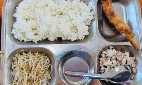 Suất ăn bán trú 40.000 đồng "lèo tèo" giá đỗ, thịt băm: Hà Nội yêu cầu làm rõ