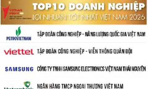 Ai đã lấy mất ngôi lợi nhuận lớn nhất Việt Nam của Viettel?