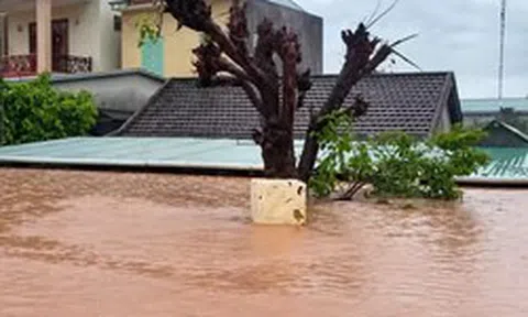 Mưa lũ bủa vây nhiều vùng Quảng Trị, hàng trăm nhà dân chìm trong 'biển nước'
