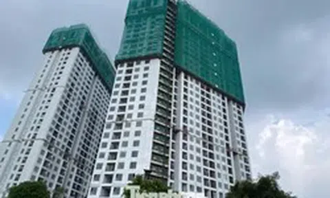 Giá nhà neo cao, doanh nghiệp 'chăm khách' thế nào?