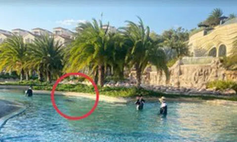Vụ bé 11 tuổi người Nhật tử vong ở hồ bơi tại resort: Khởi tố bị can Nguyễn Quốc Quân SN 1961