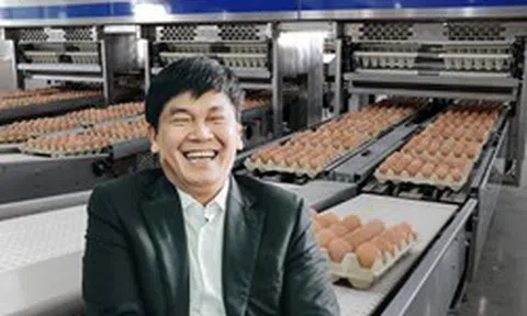Bên trong tổ hợp sản xuất 1 triệu quả trứng/ngày của tỷ phú Trần Đình Long: 1,2 triệu con gà, thu gần 350 tỷ đồng trong 6 tháng