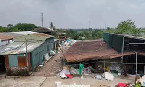 Hà Nội xử lý hàng trăm trường hợp vi phạm trên đất nông nghiệp