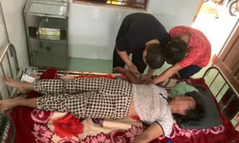Đi chăn bò, người phụ nữ 44 tuổi bị ong vò vẽ đốt đến hôn mê